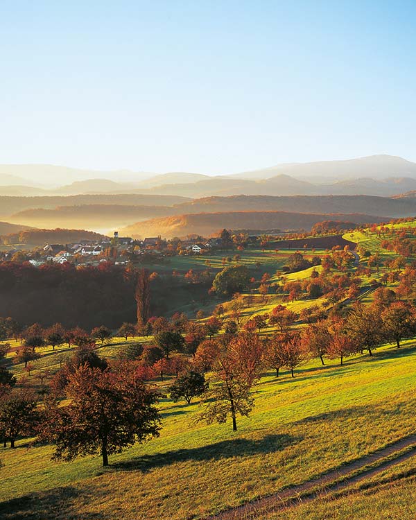 01-BadRamsach-Health-Resort-Switzerland