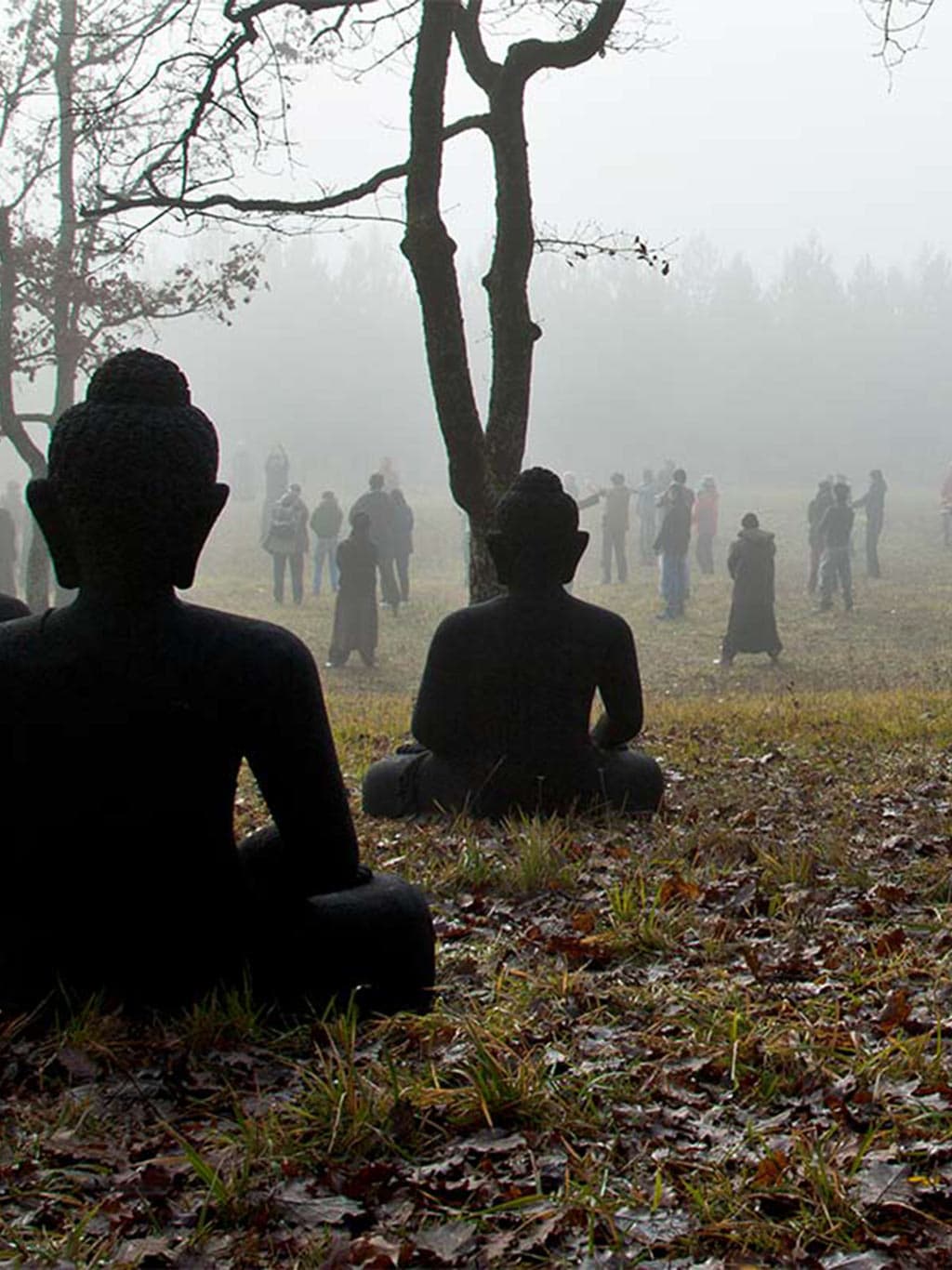 Herotablet-plum-village-zen-retreat-france