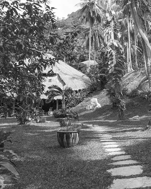 Springs tamarind Tamarind Springs