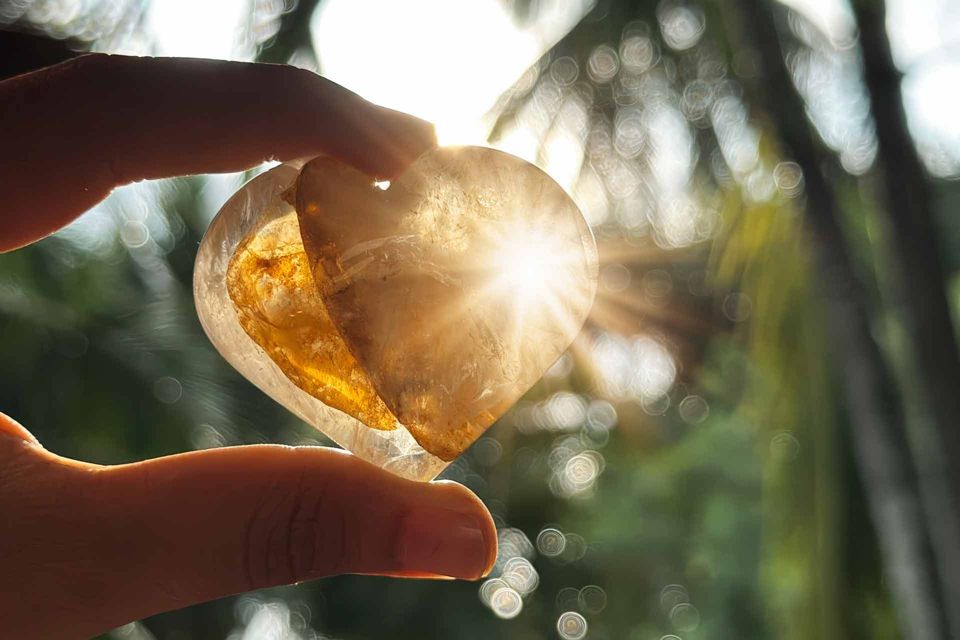 Wellness & Reiki Retreats in Northern Thailand