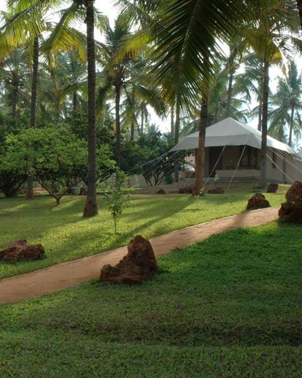 Shreyas Retreat Healing the body, mind and soul through authentic Ayurveda, Panchakarma, Naturopathy and spiritual tradition of yoga. Luxury Yoga Retreat India.
