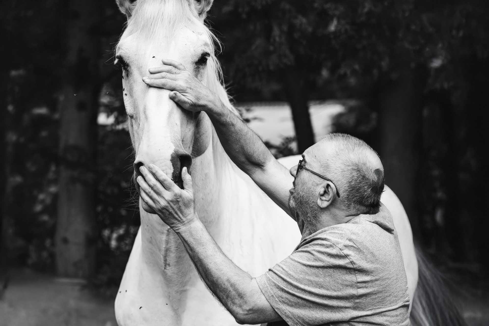 Sensitive Animals Animal Healing for Horses & Sensitive Animals