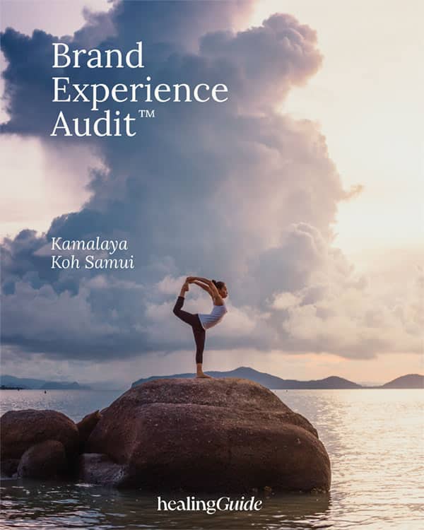 The Brand Experience Audit™ by HealingGuide
