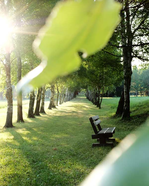 Marienkron-Austria-health-resort-600-001