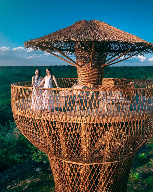 Mayan jungle retreat near Tekit, Yucatán. Three private cenotes, Temazcal ceremony with local healers, Utópika spa, organic kitchen, sacred union and family rituals.