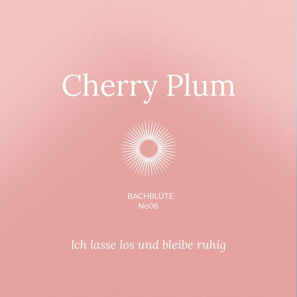 06-CherryPlum
