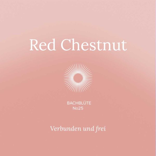 Bachbluete-25-RedChestnut