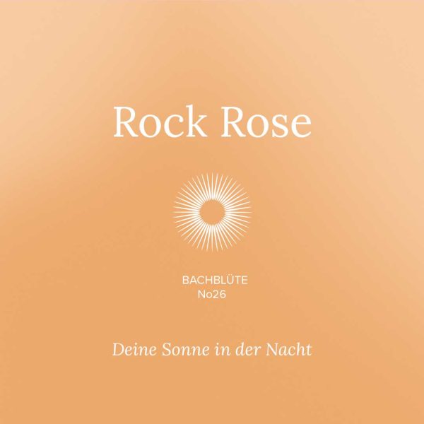 Bachbluete-26-RockRose