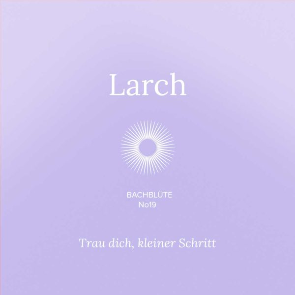 Bachblueten-19-Larch-Kinder