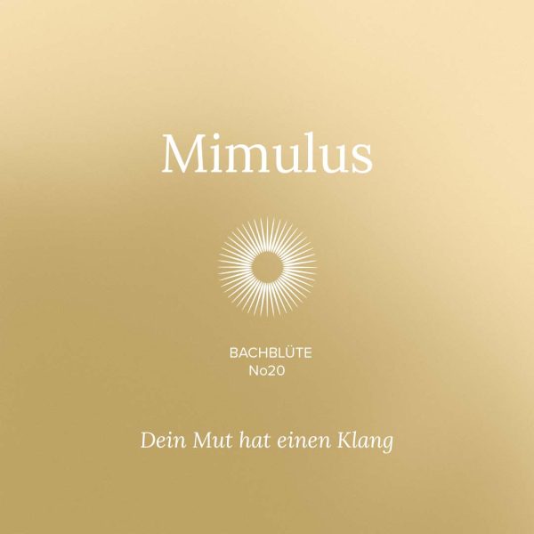 Bachblueten-20-Mimulus-Kinder