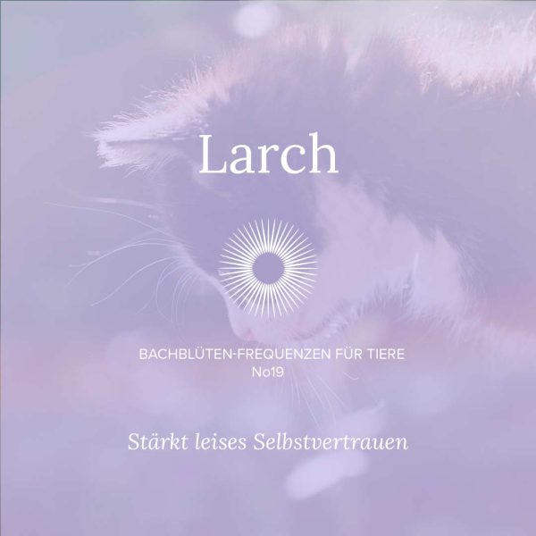 Für Tiere, die sich zurückziehen, ängstlich wirken oder sich nichts zutrauen.