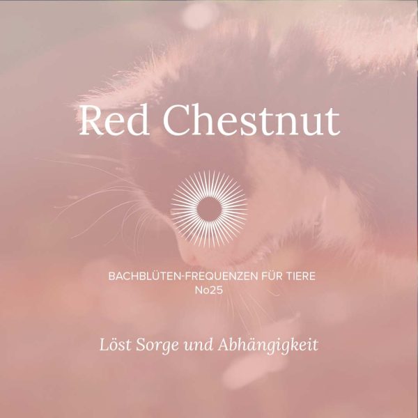 Für Tiere, die zu stark an ihren Menschen gebunden sind oder in seiner Abwesenheit leiden.